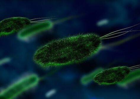 สาเหตุของโรคกระเพาะคือแบคทีเรีย - Helicobacter